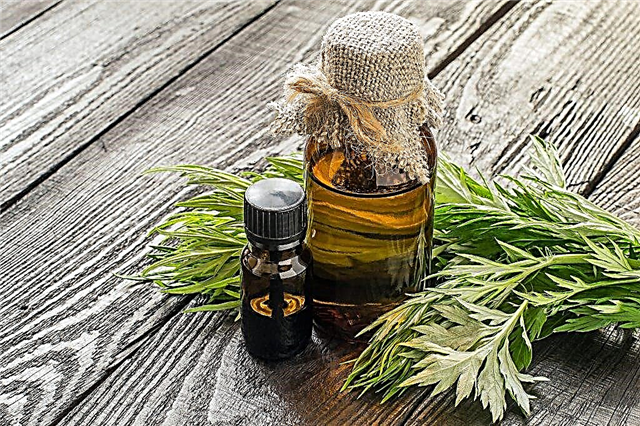 Properties and uses of wormwood essential oils