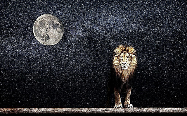 La signification de la lune en Lion