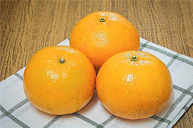 La naranja se considera una fruta o baya