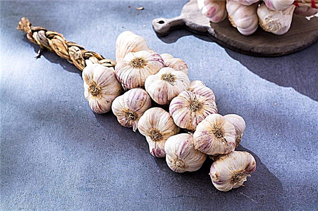 Ways of weaving garlic braids