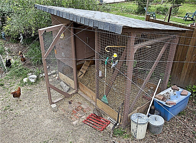The device of a chicken coop for 5 chickens
