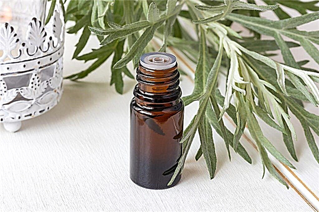 The use of wormwood oil