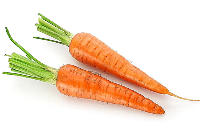 How much does a medium-sized carrot weigh