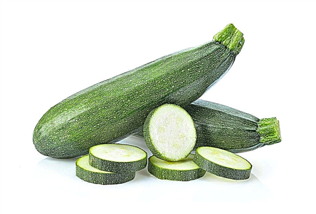 Vitinsammensætning af zucchini