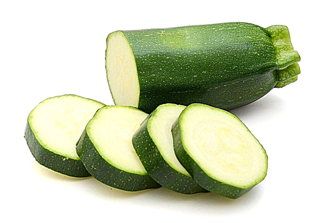Makan zucchini untuk pankreatitis