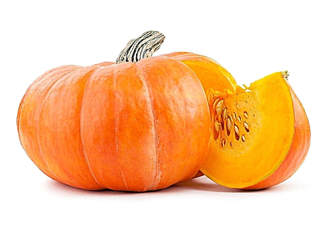 Useful and harmful properties of pumpkin for men