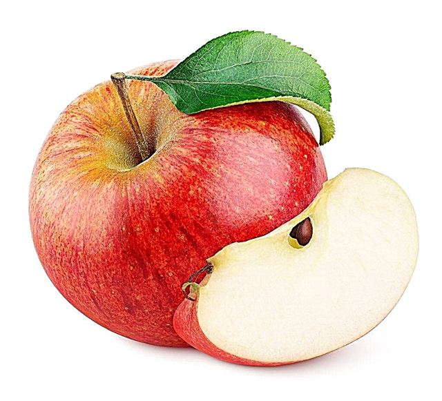 وصف شجرة التفاح Tolunay