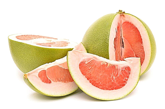 Χαρακτηριστικά των ποικιλιών pomelo