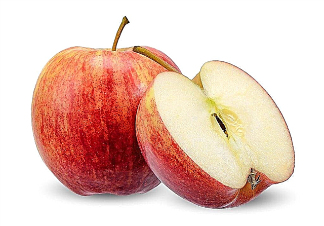 Uspenskoe stablo jabuka