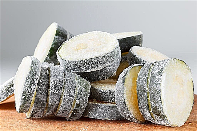 Frysende zucchini om vinteren