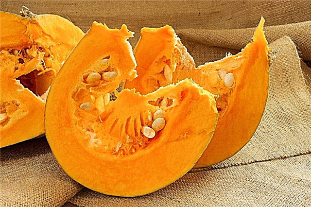 What is the use of pumpkin