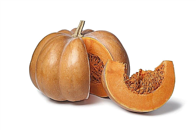 Description pumpkin Muscat de Provence