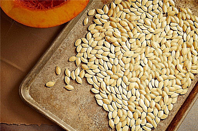 Methods for drying pumpkin seeds