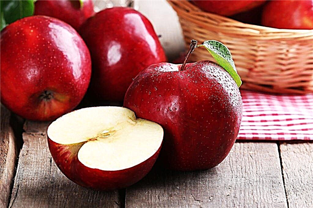 التفاح هو التوت أو الخضار أو الفاكهة