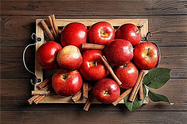 Essen von Äpfeln gegen Gastritis