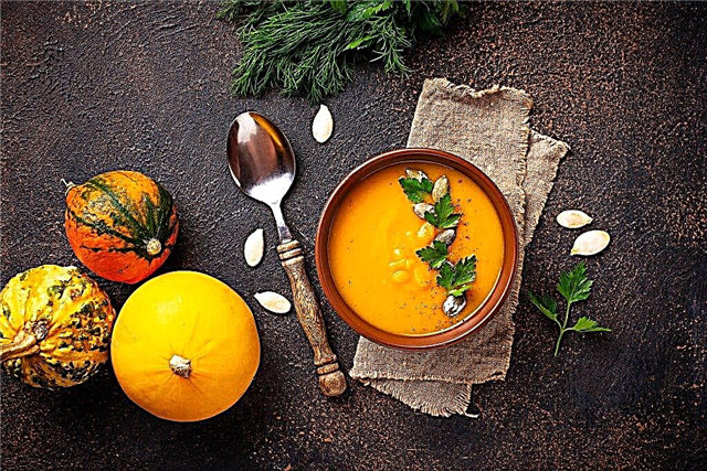 Pumpkin composition and calorie content