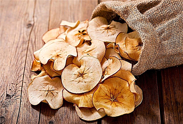 The benefits of dried apples