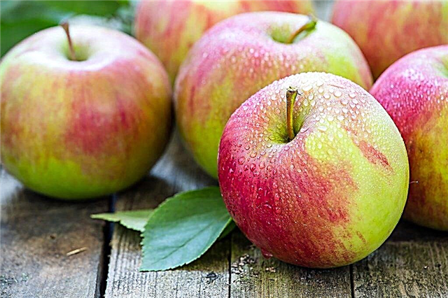 דרכים להקפאת תפוחים לחורף