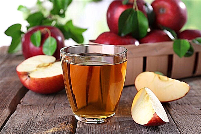 Useful properties and harm of apple juice