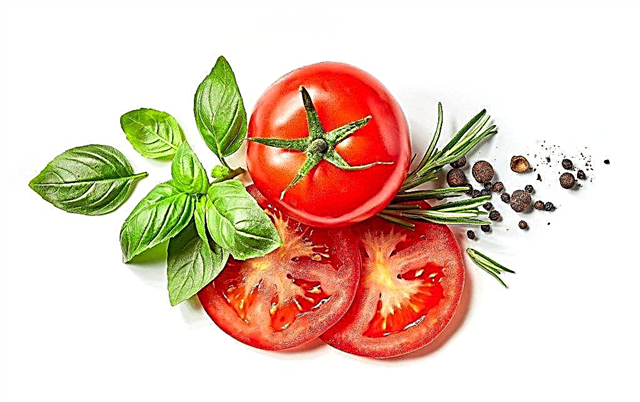 Fordelene og skadene ved tomater