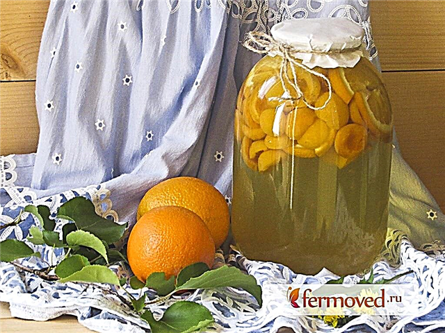 Kompot Fanta yang diperbuat daripada aprikot, jeruk dan lemon - makanan istimewa yang luar biasa