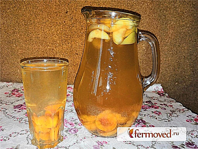 Apricot and apple compote is a universal drink 