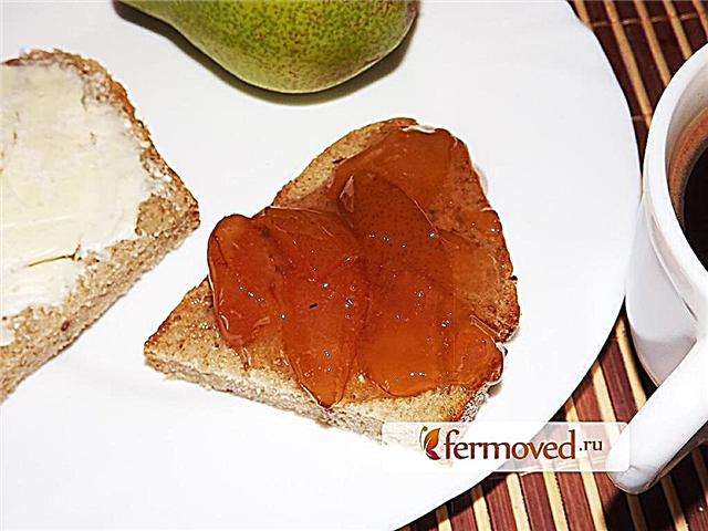 Amber pear jam - a delicious sweetness for the winter