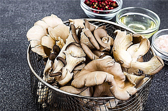 Features of cooking mushrooms