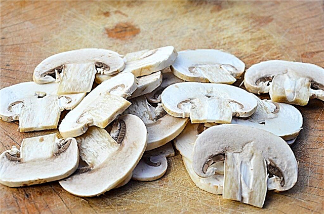 Introduction to the diet of raw mushrooms