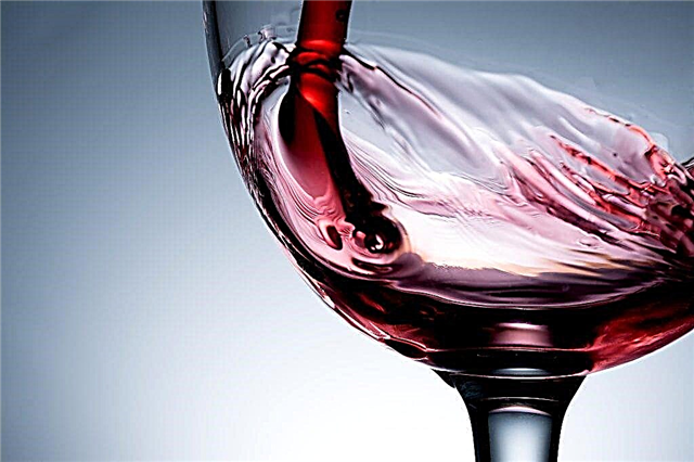 Penerangan mengenai cendawan wain