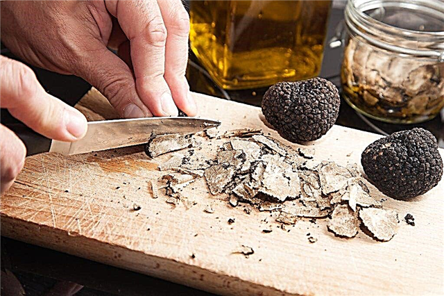 The benefits of truffle juice